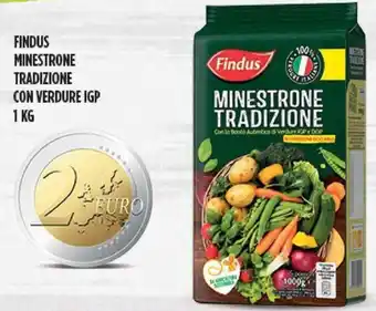 Supermercato Pollio Findus Minestrone Tradizione Con Verdure IGP 1 Kg offerta