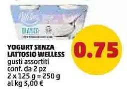 PENNY Yogurt senza lattosio WELLESS offerta