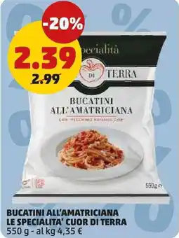 PENNY Bucatini all'amatriciana LE SPECIALITA' CUOR DI TERRA offerta