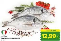 Tigre Orata nazionale media offerta