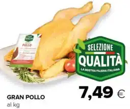 Tigre Gran pollo offerta