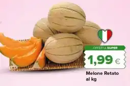 Oasi Melone Retato offerta