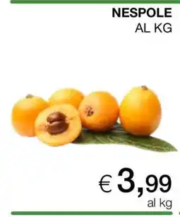 Coop NESPOLE offerta