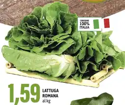 Madis Lattuga romana offerta