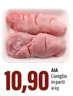 Madis AIA Coniglio in parti offerta
