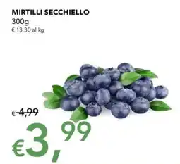 Migross Supermercati e Market Mirtilli secchiello offerta