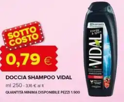 Oasi Doccia shampoo VIDAL offerta