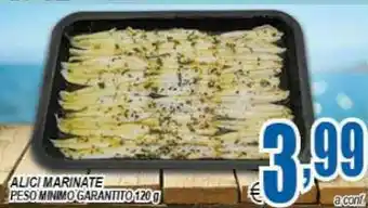 DEM Alici marinate offerta