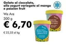 NaturaSì Gelato al cioccolato, allo yogurt variegato al mango e passion fruit offerta