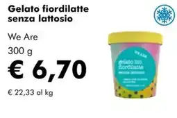 NaturaSì Gelato fiordilatte senza lattosio We Are offerta