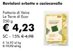 NaturaSì Ravioloni erbette e caciocavallo Fattoria di Vaira Le Terre di Ecor offerta