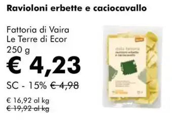 Ravioloni erbette e caciocavallo Fattoria di Vaira Le Terre di Ecor