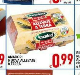 Iper Triscount Uova offerta