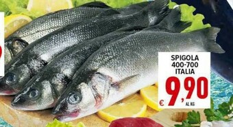 Iper Triscount Pesce offerta