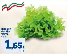 Sigma Insalata Gentile verde offerta
