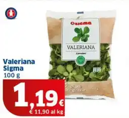 Sigma Valeriana Sigma offerta