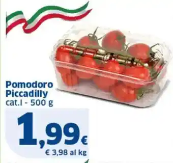 Sigma Pomodoro Piccadilly offerta