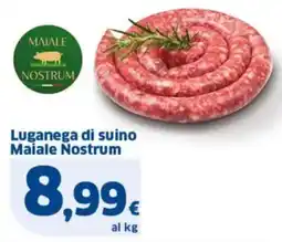 Sigma Luganega di suino Maiale Nostrum offerta