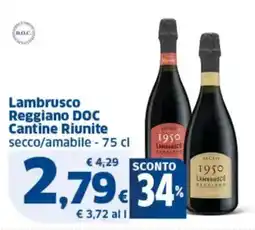 Sigma Lambrusco Reggiano DOC Cantine Riunite offerta