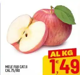 Ard Discount Mele FUJI offerta