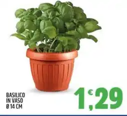 Ard Discount Basilico in vaso ø14 cm offerta