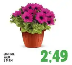 Ard Discount Surfinia vaso ø14 cm offerta