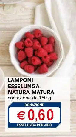 Esselunga Lamponi esselunga natura matura offerta