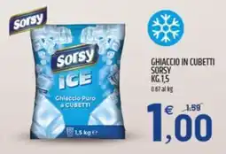 Ard Discount Ghiaccio in cubetti SORSY offerta