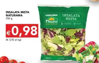 Esselunga INSALATA MISTA NATURAMA offerta