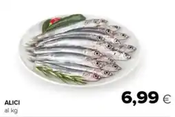 Oasi Alici offerta