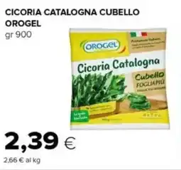 Oasi Cicoria catalogna cubello OROGEL offerta
