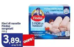 Sigma Superstore Fiori di nasello Findus surgelati offerta