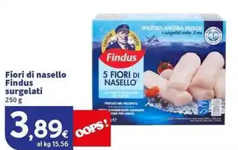 Sigma Superstore Fiori di nasello Findus surgelati offerta