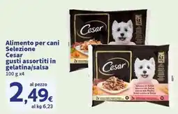 Sigma Superstore Alimento per cani Selezione Cesar in gelatina/salsa offerta