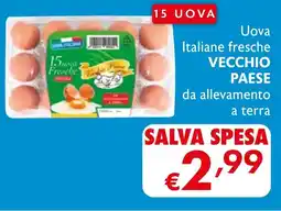 Maxi Supermercati Uova Italiane fresche VECCHIO PAESE da allevamento a terra offerta