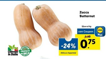 Lidl Zucca butternut offerta