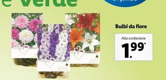 Lidl Bulbi da fiore offerta