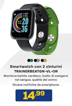 Euronics Celly smartwatch con 2 cinturini trainerbeatgn-vl-or offerta