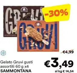 Unes Gelato Gruvi SAMMONTANA offerta