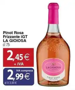 Docks Cash&Carry Pinot Rosa Frizzante iGT LA GIOIOSA offerta