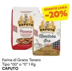 Unes Farina di Grano Tenero Tipo "00" o "0" CAPUTO offerta