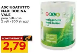 Alì Supermercati Asciugatutto maxi bobina VALE offerta