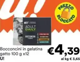Unes Bocconcini in gelatina gatto U! offerta