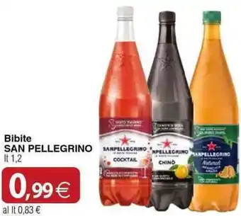 Docks Cash&Carry Bibite SAN PELLEGRINO offerta