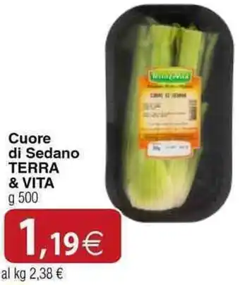 Docks Cash&Carry Cuore di Sedano TERRA & VITA offerta
