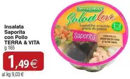 Docks Cash&Carry Insalata Saporita con Pollo TERRA & VITA offerta