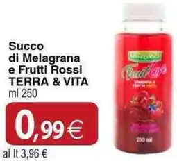Docks Cash&Carry Succo di Melagrana e Frutti Rossi TERRA & VITA offerta