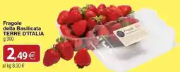 Docks Cash&Carry Fragole della Basilicata TERRE D'ITALIA offerta