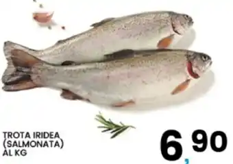 Interspar Trota iridea (salmonata) offerta