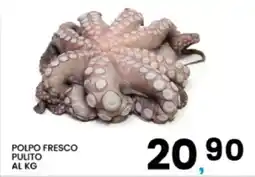 Interspar Polpo fresco pulito offerta